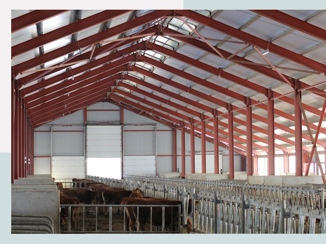 Строительство коровников в Ступино