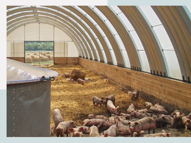 Строительство свинарников в Ступино