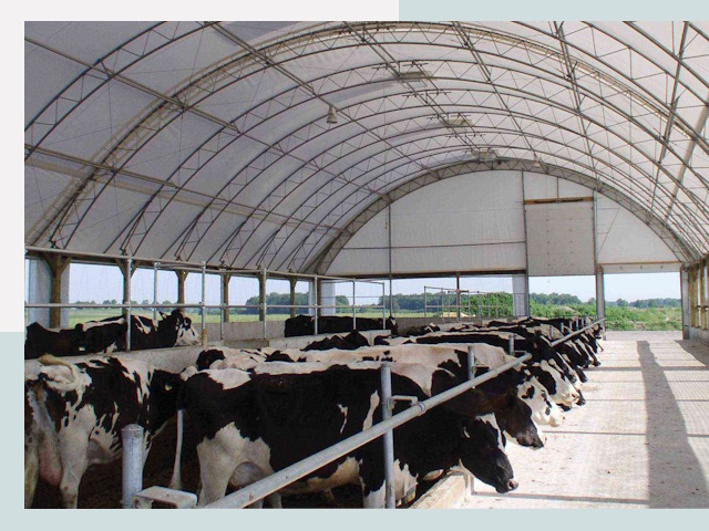 Тентовые коровники в Ступино